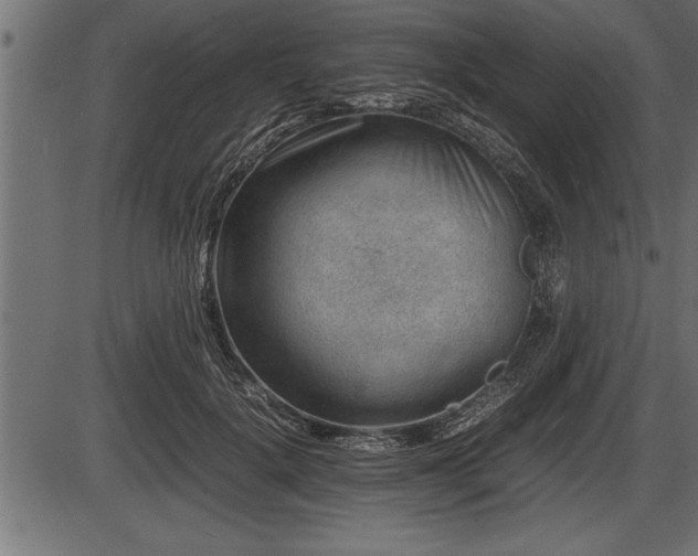 X0000086290652200704090957