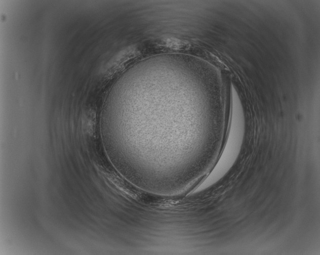 X0000086290656200704090957