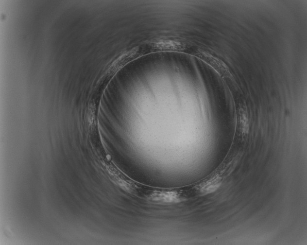 X0000086290665200704090957