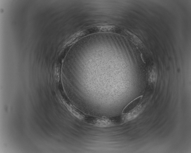 X0000086290666200704090957
