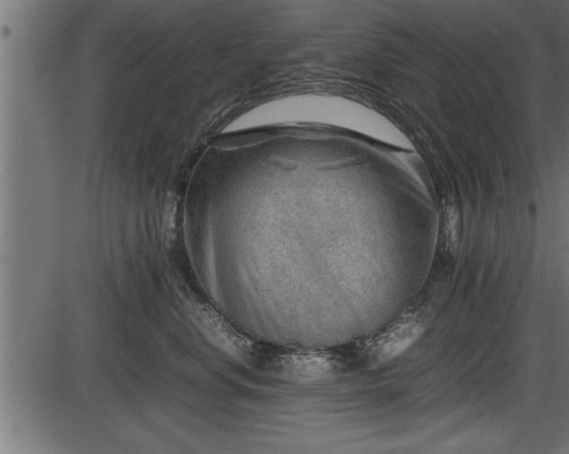 X0000086290668200704090957