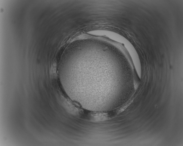 X0000086290670200704090957