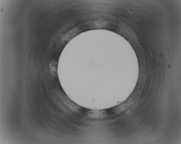 X0000086290672200704090957