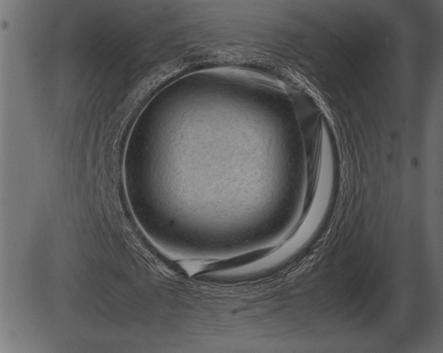 X0000086290673200704090956