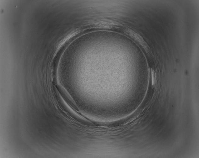 X0000086290675200704090956