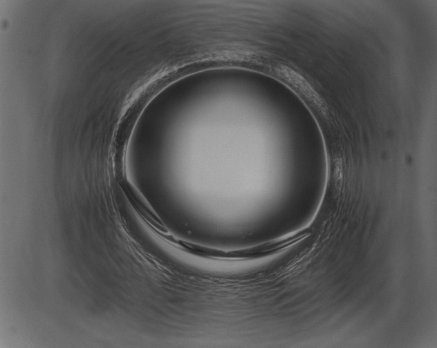 X0000086290676200704090956