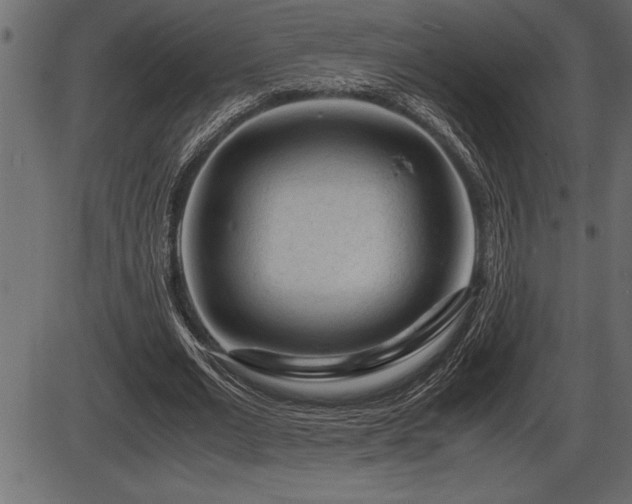 X0000086290677200704090956