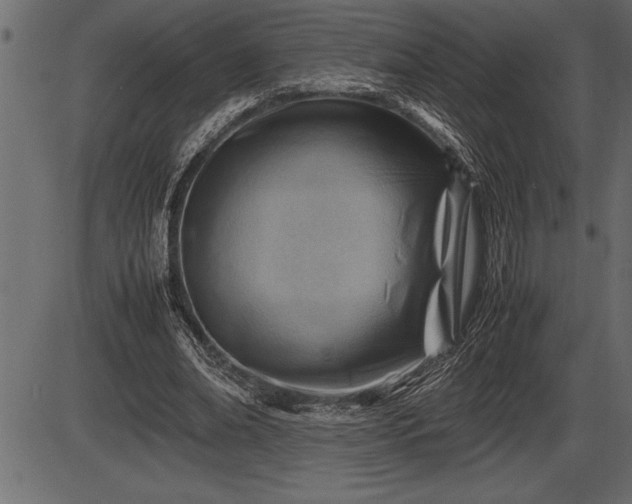 X0000086290678200704090956