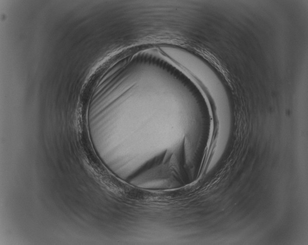 X0000086290680200704090956