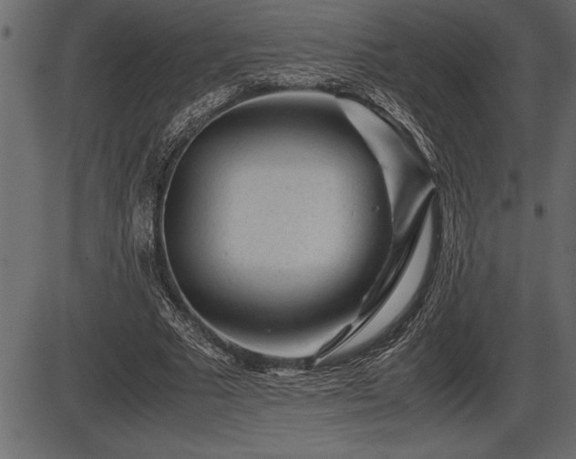 X0000086290681200704090956