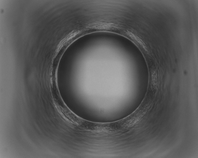 X0000086290682200704090956