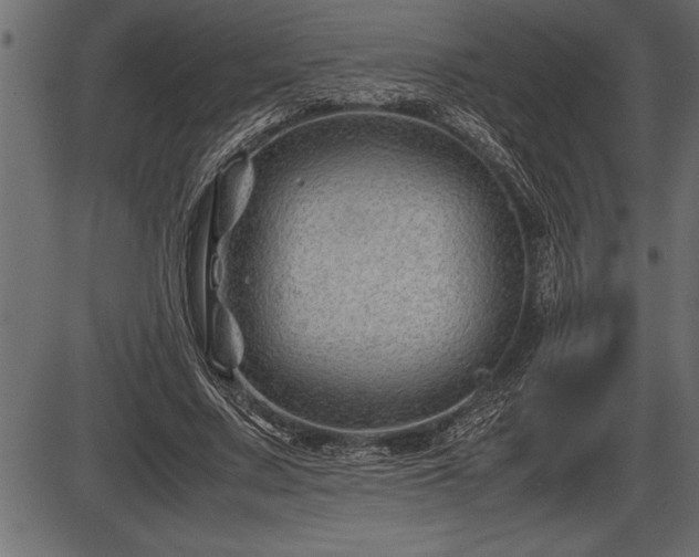 X0000086290683200704090956