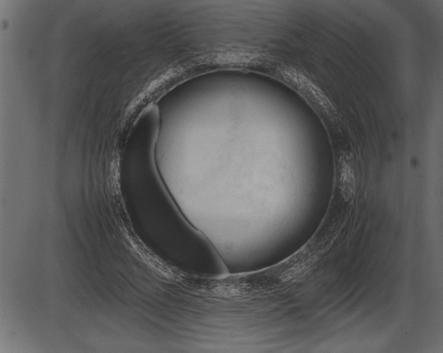 X0000086290684200704090956