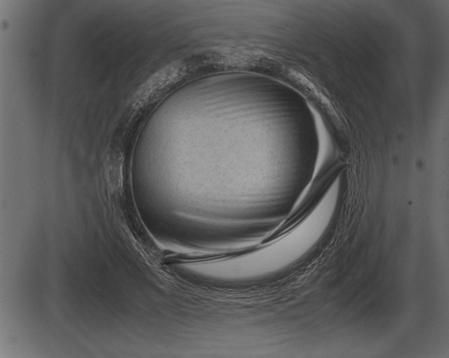 X0000086290685200704090956