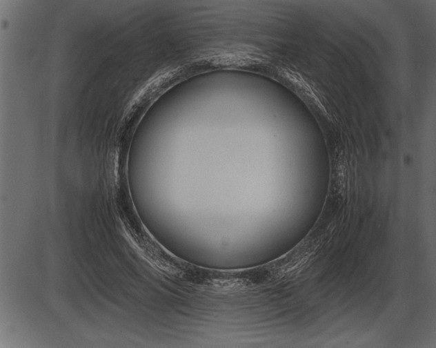 X0000086290686200704090956