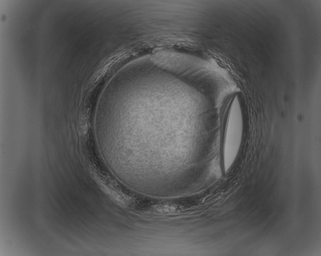 X0000086290687200704090956
