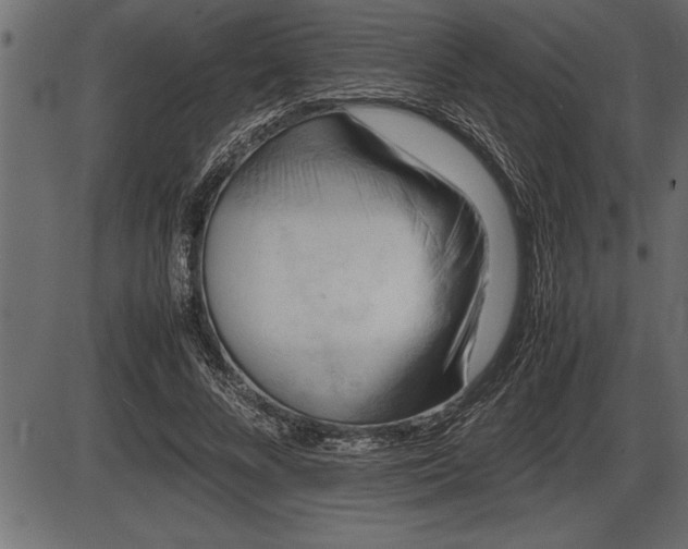 X0000086290688200704090956