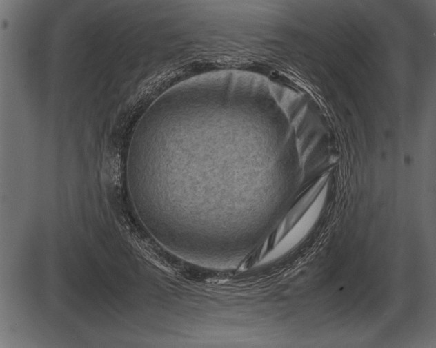 X0000086290689200704090956