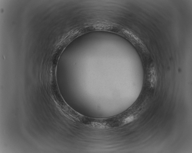X0000086290690200704090956