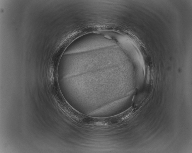 X0000086290692200704090956