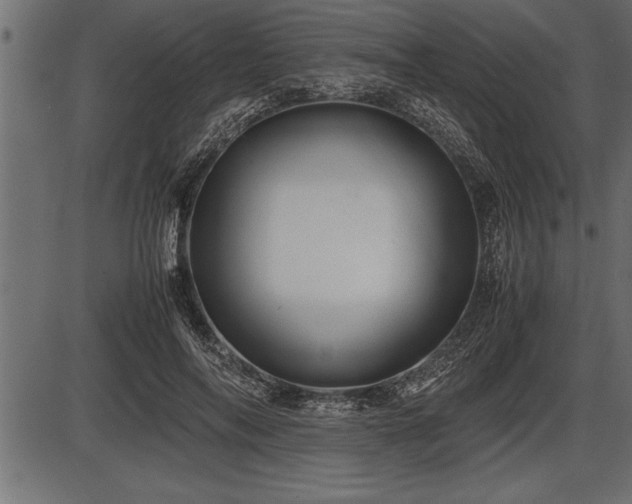 X0000086290694200704090956