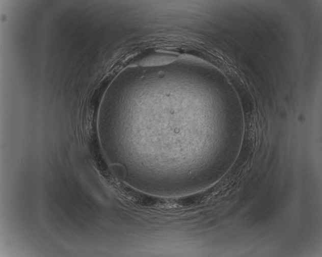 X0000086290695200704090956