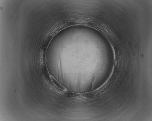 X0000086290696200704090956