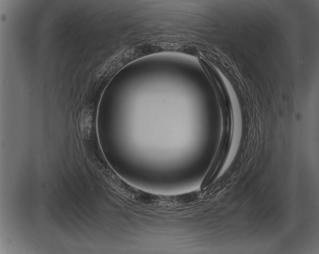 X0000086290697200704090956