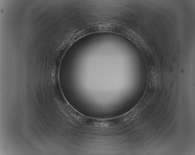 X0000086290698200704090956