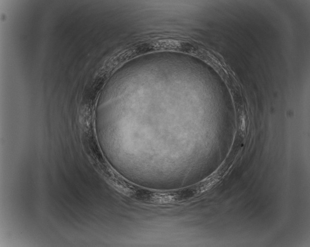 X0000086290701200704090956