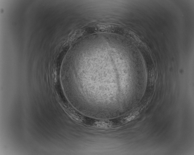 X0000086290703200704090956