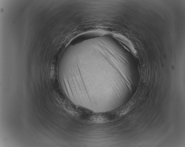 X0000086290704200704090956