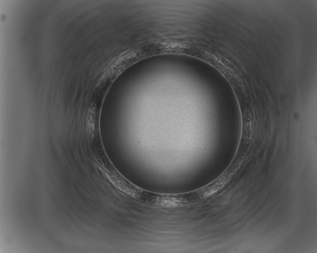 X0000086290710200704090955