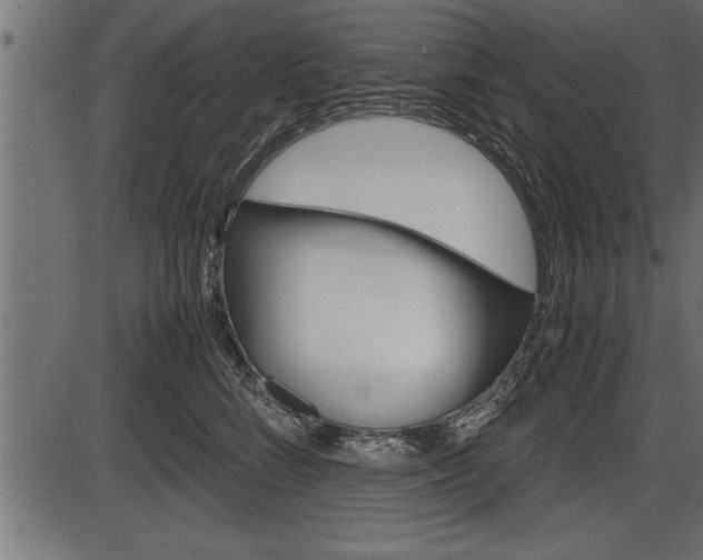 X0000086290712200704090955