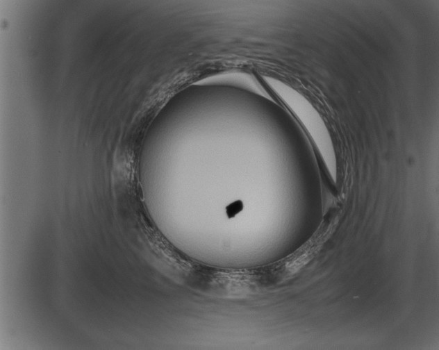 X0000086290713200704090955