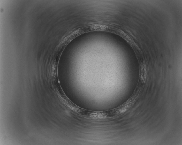 X0000086290714200704090955