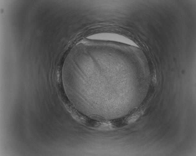 X0000086290715200704090955