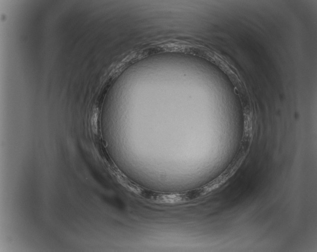 X0000086290717200704090955