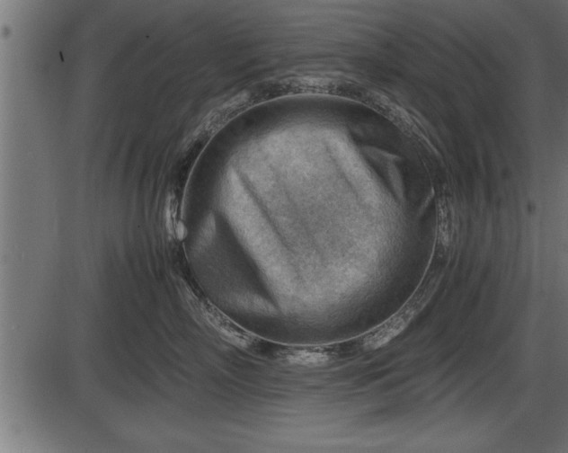 X0000086290718200704090955