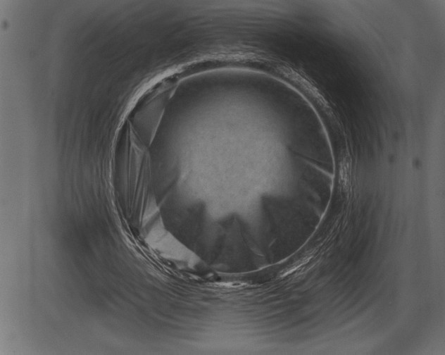 X0000086290724200704090955