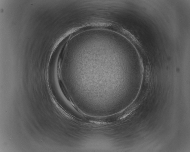 X0000086290726200704090955