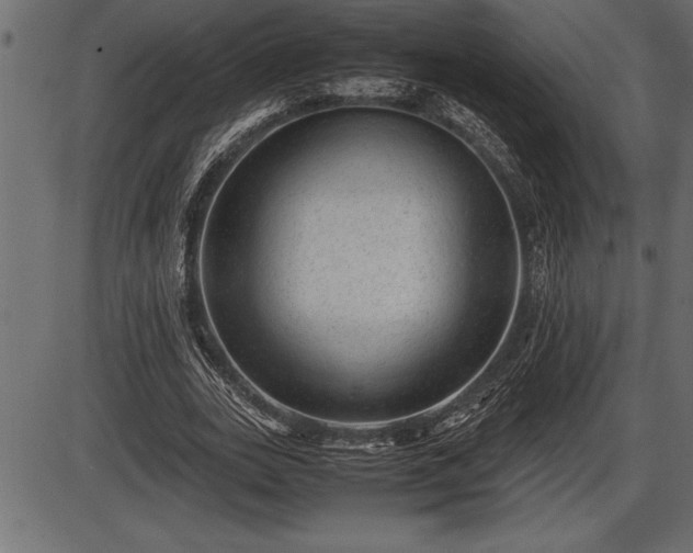 X0000086290727200704090955