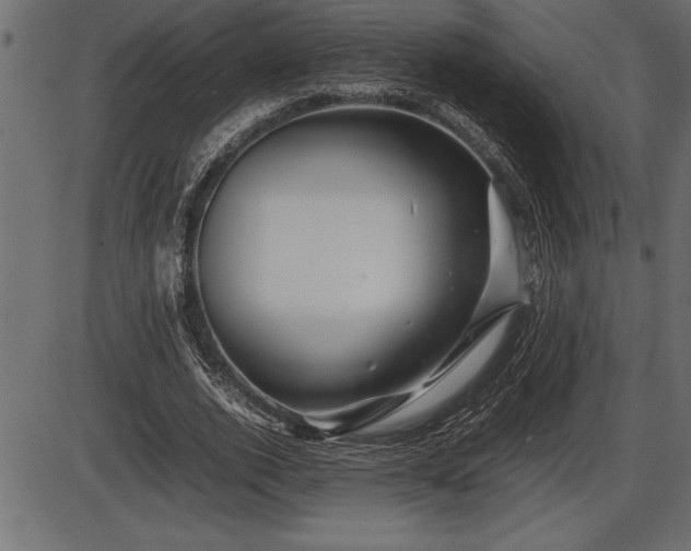 X0000086290728200704090955