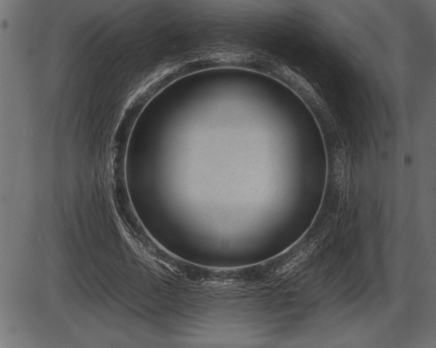 X0000086290730200704090955