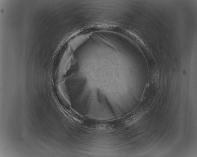 X0000086290736200704090955