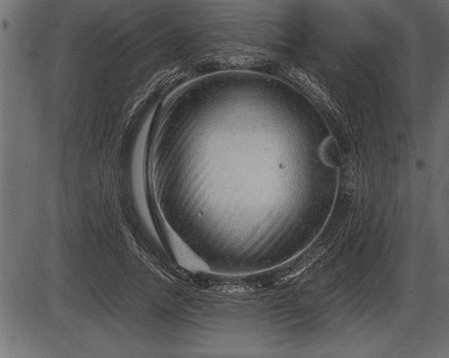 X0000086290738200704090955