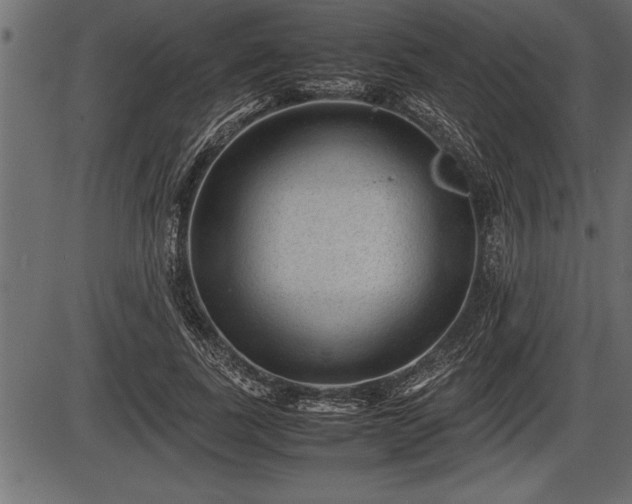 X0000086290739200704090955