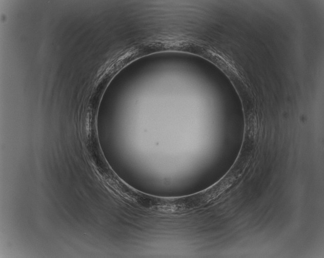 X0000086290740200704090955