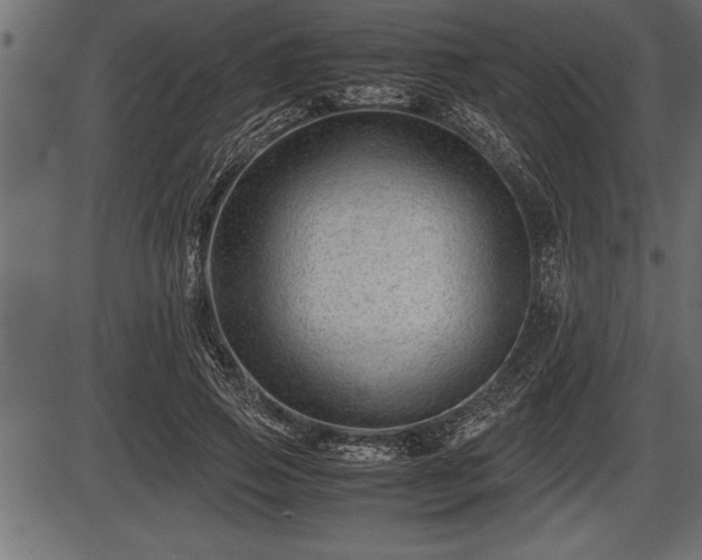 X0000086290741200704090955