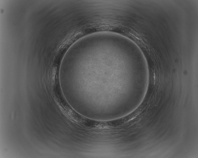 X0000086290742200704090955